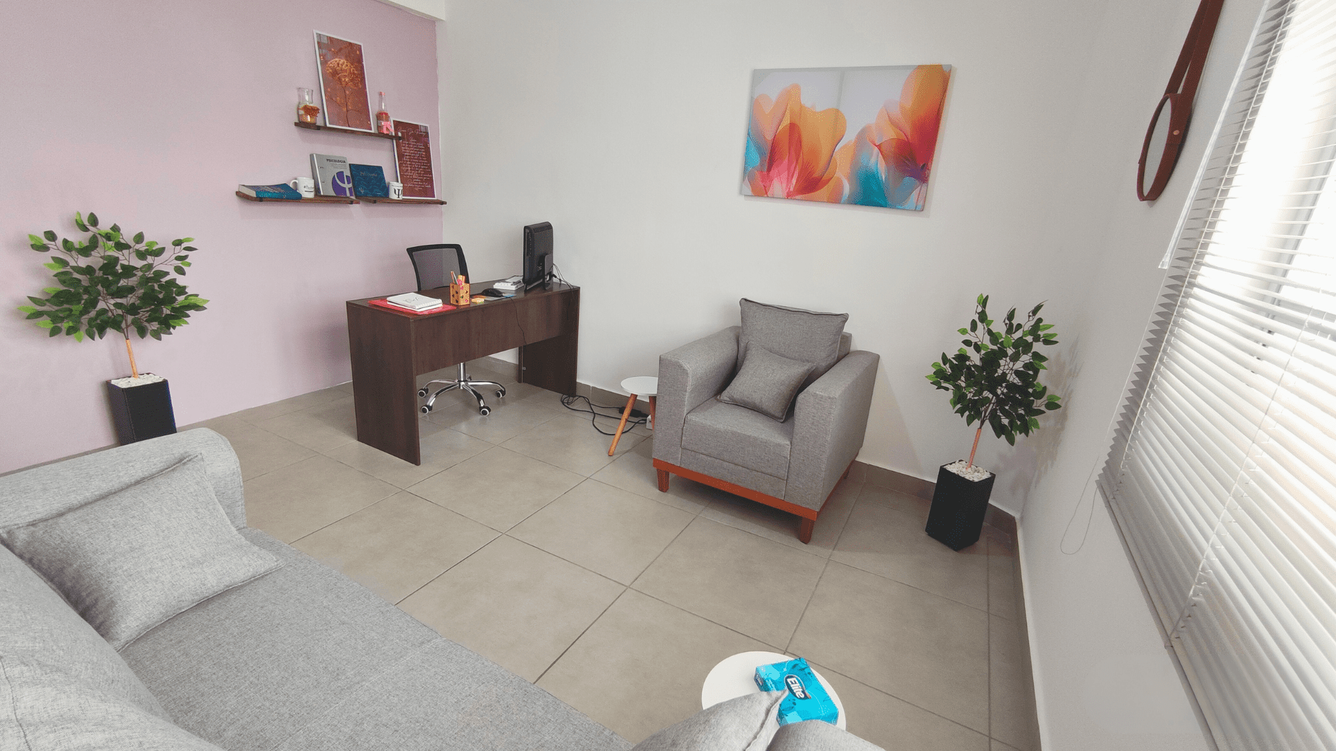 sala da Luana e uma sala confortativo